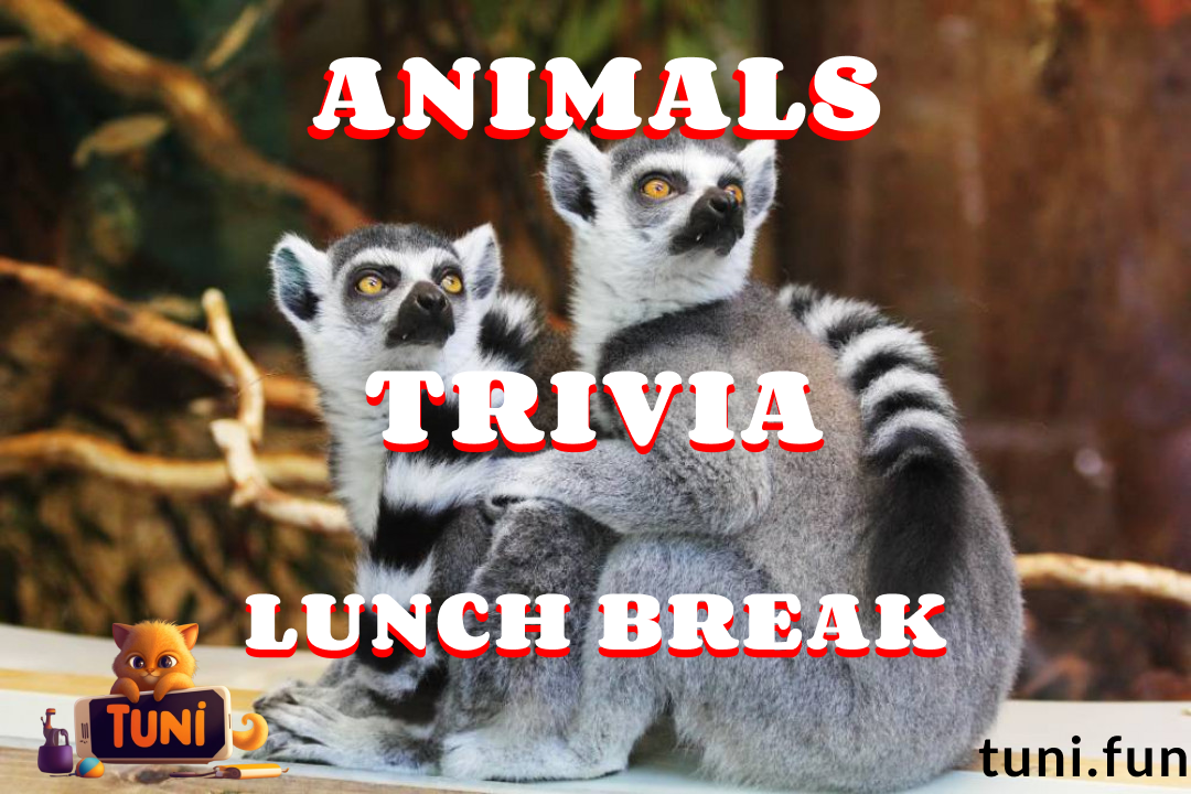 Trivia