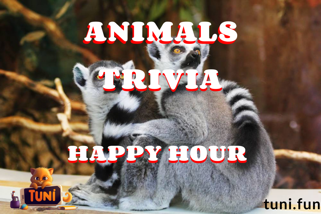 Trivia